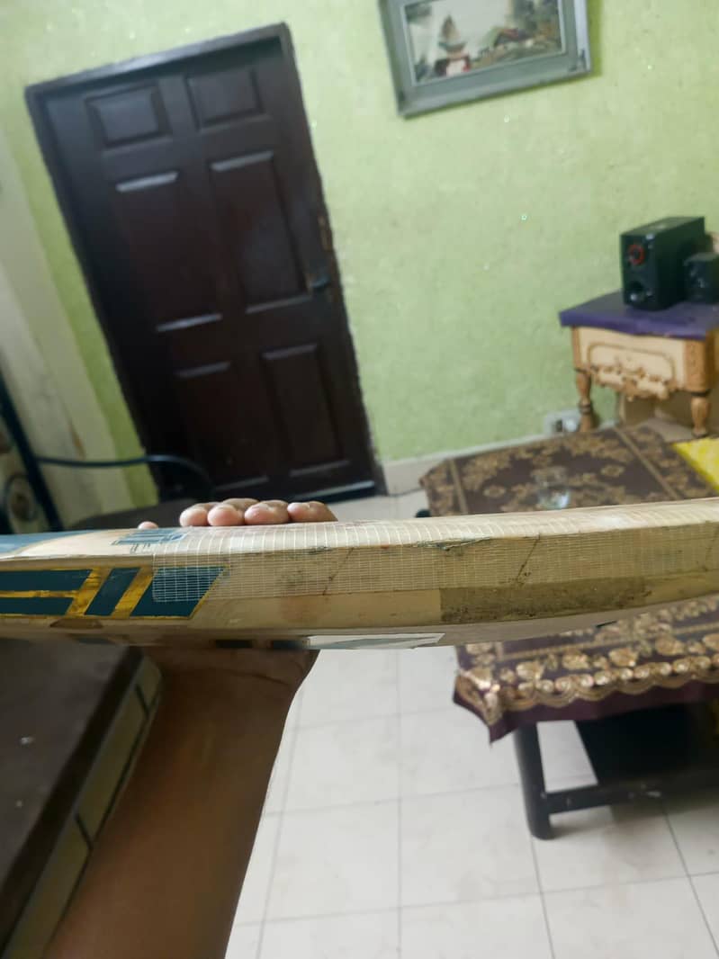 cricket bat 7