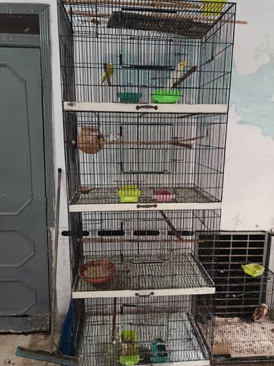 Cage for sale urgent