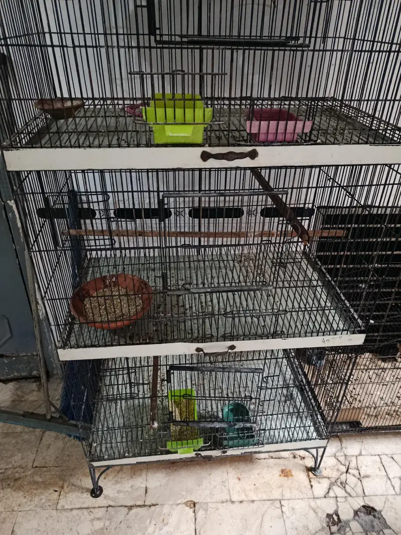 Cage for sale urgent — photo 2