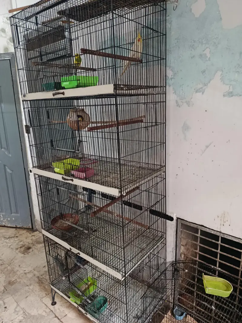 Cage for sale urgent — photo 3