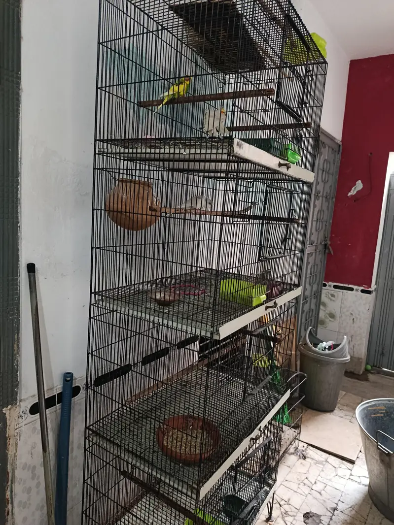 Cage for sale urgent — photo 4