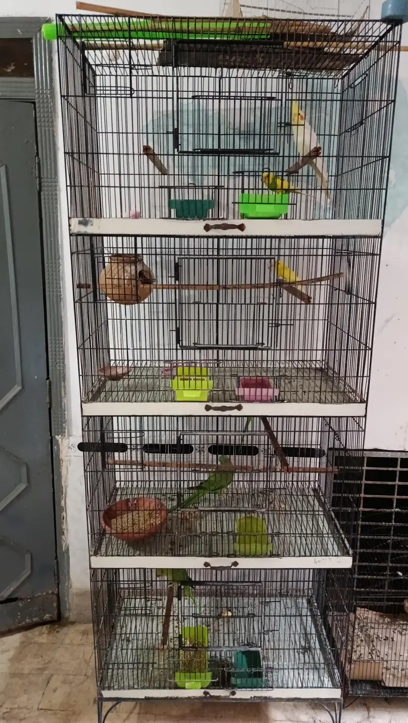 Cage for sale urgent — photo 5