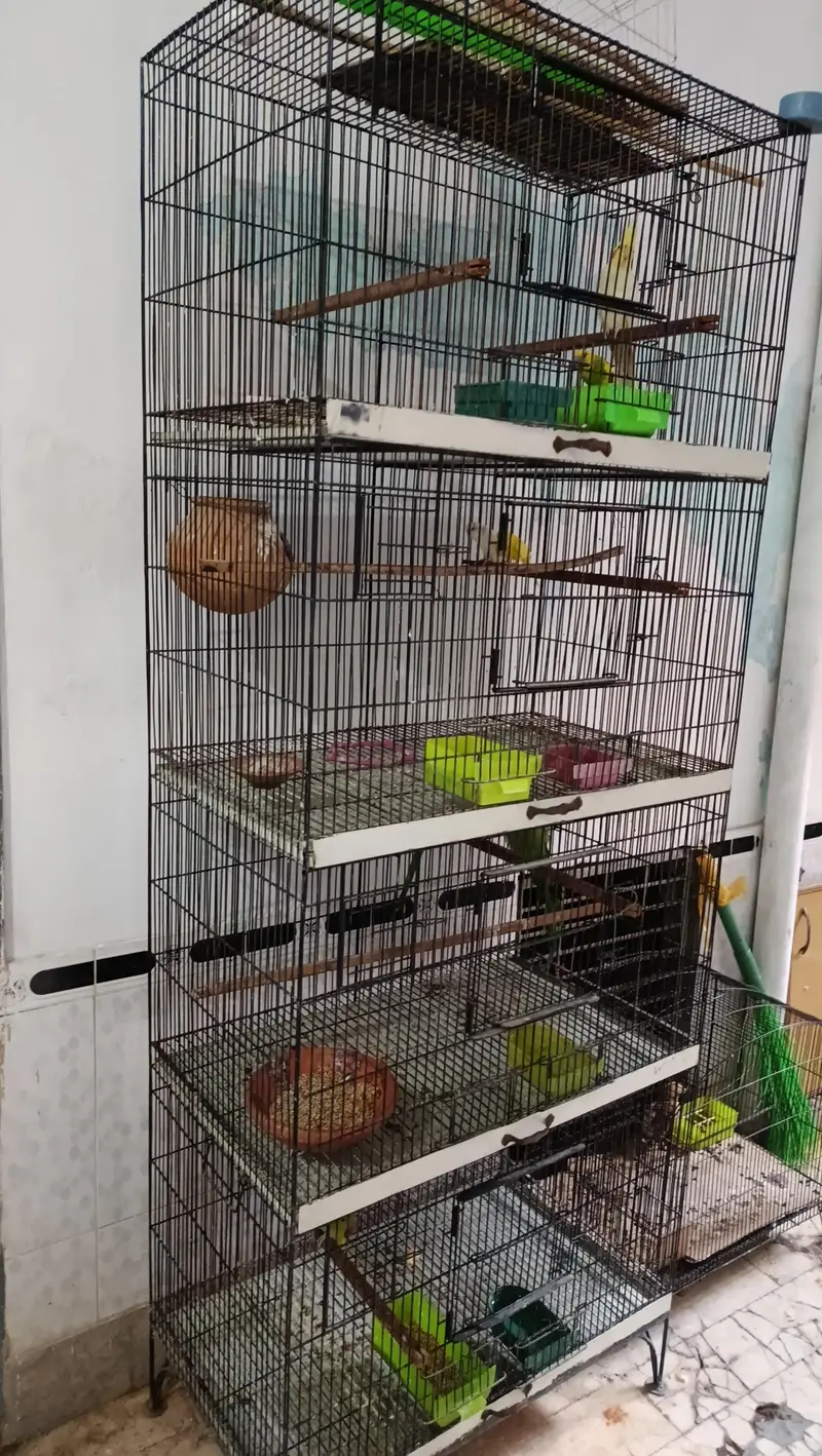 Cage for sale urgent — photo 6