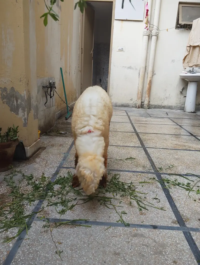 Mundra h 3 sa 4 month ka h — photo 3