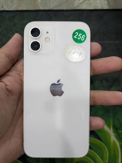 Apple iPhone 12 PTA approved
