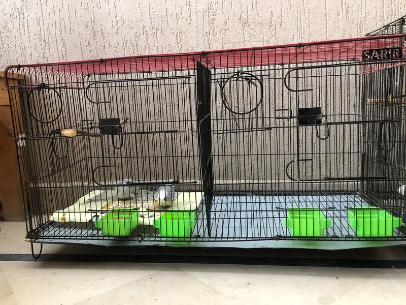 New cage for sale — photo 2