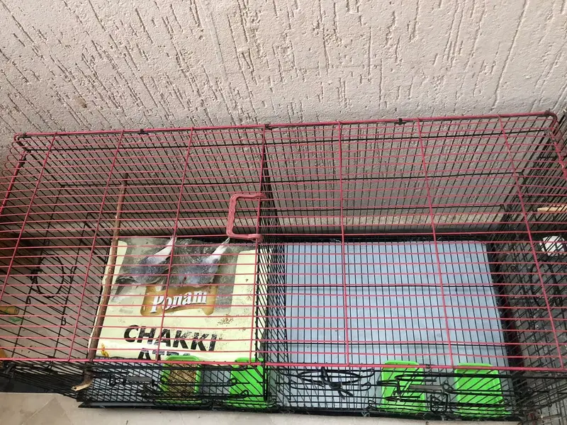 New cage for sale — photo 3