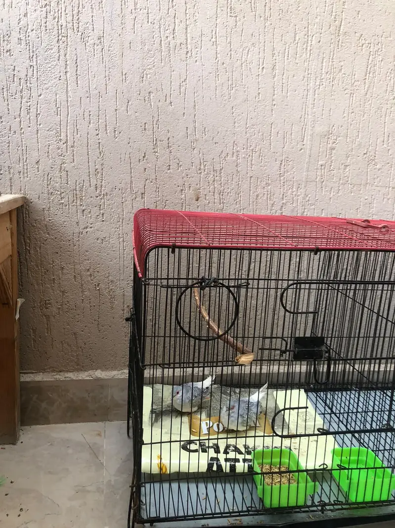 New cage for sale — photo 4