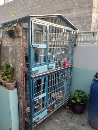 parrot cage