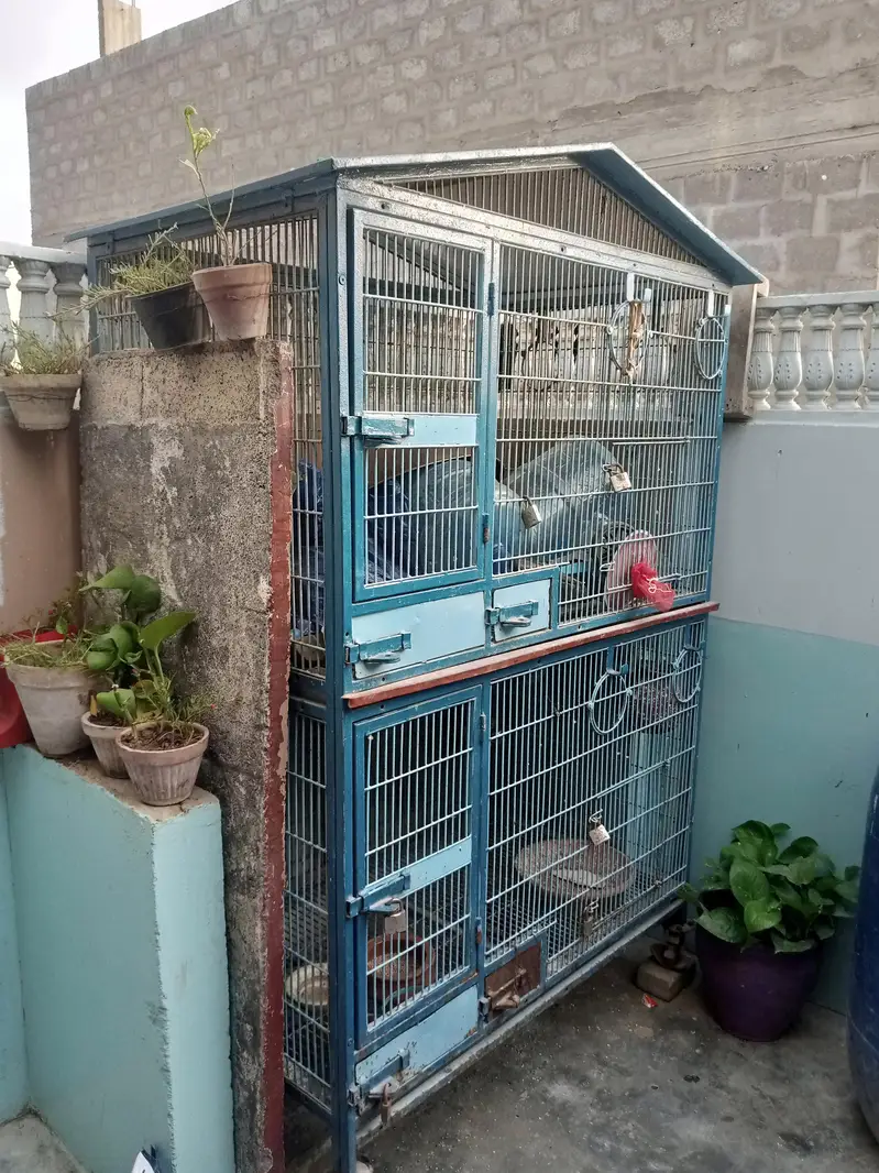 parrot cage — photo 2