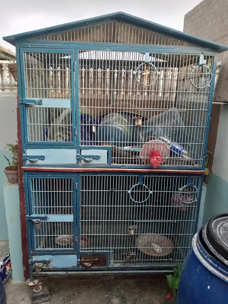parrot cage — photo 3