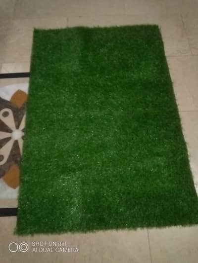 urgent green grass for business 1 piece only sale
