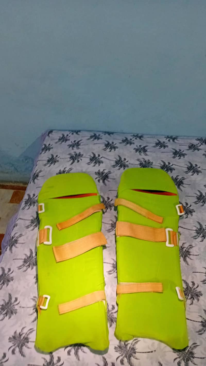 Cricket kit 2