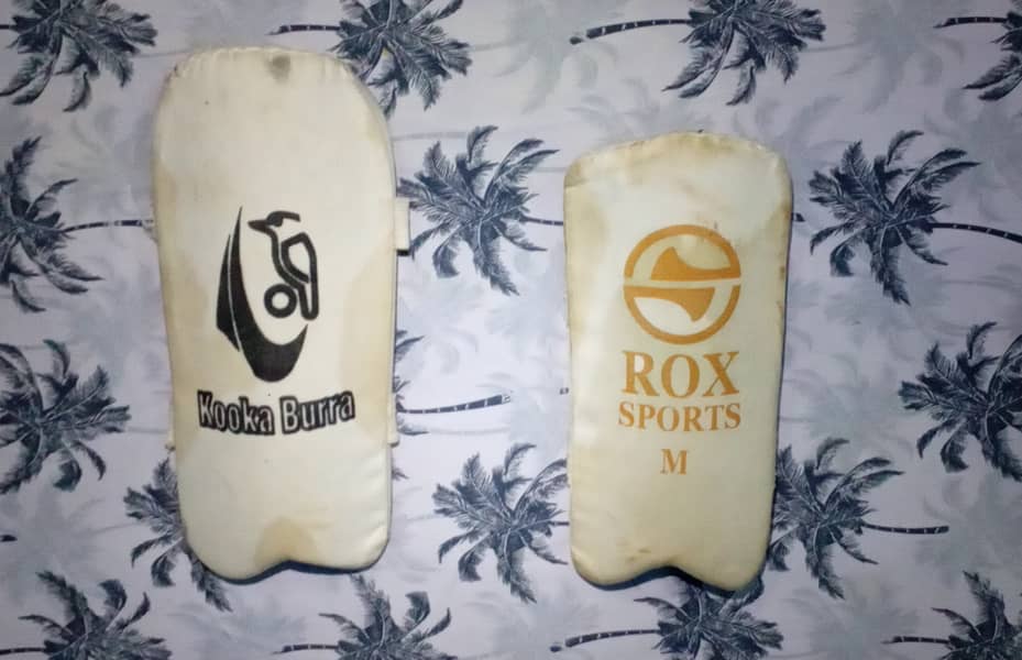 Cricket kit 7