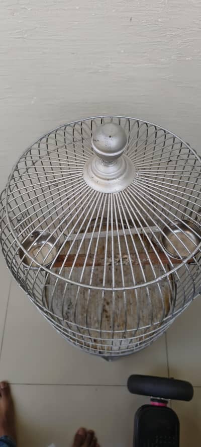 parrot cage 18" dia condition 10/9.5