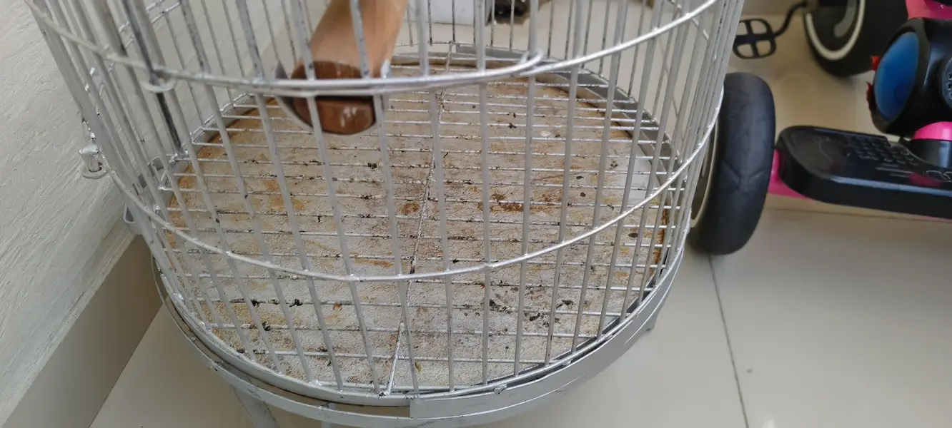 parrot cage 18" dia condition 10/9.5 — photo 2
