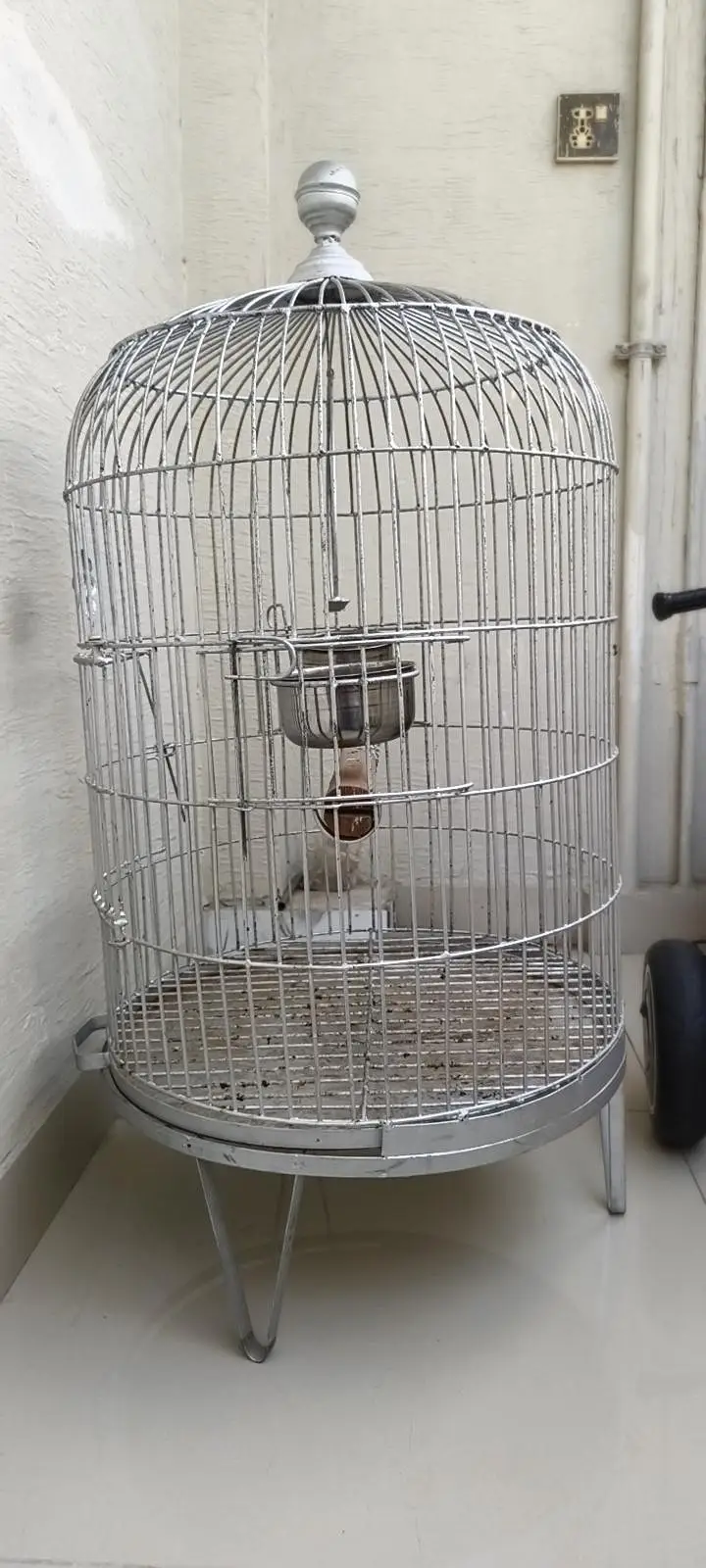 parrot cage 18" dia condition 10/9.5 — photo 5