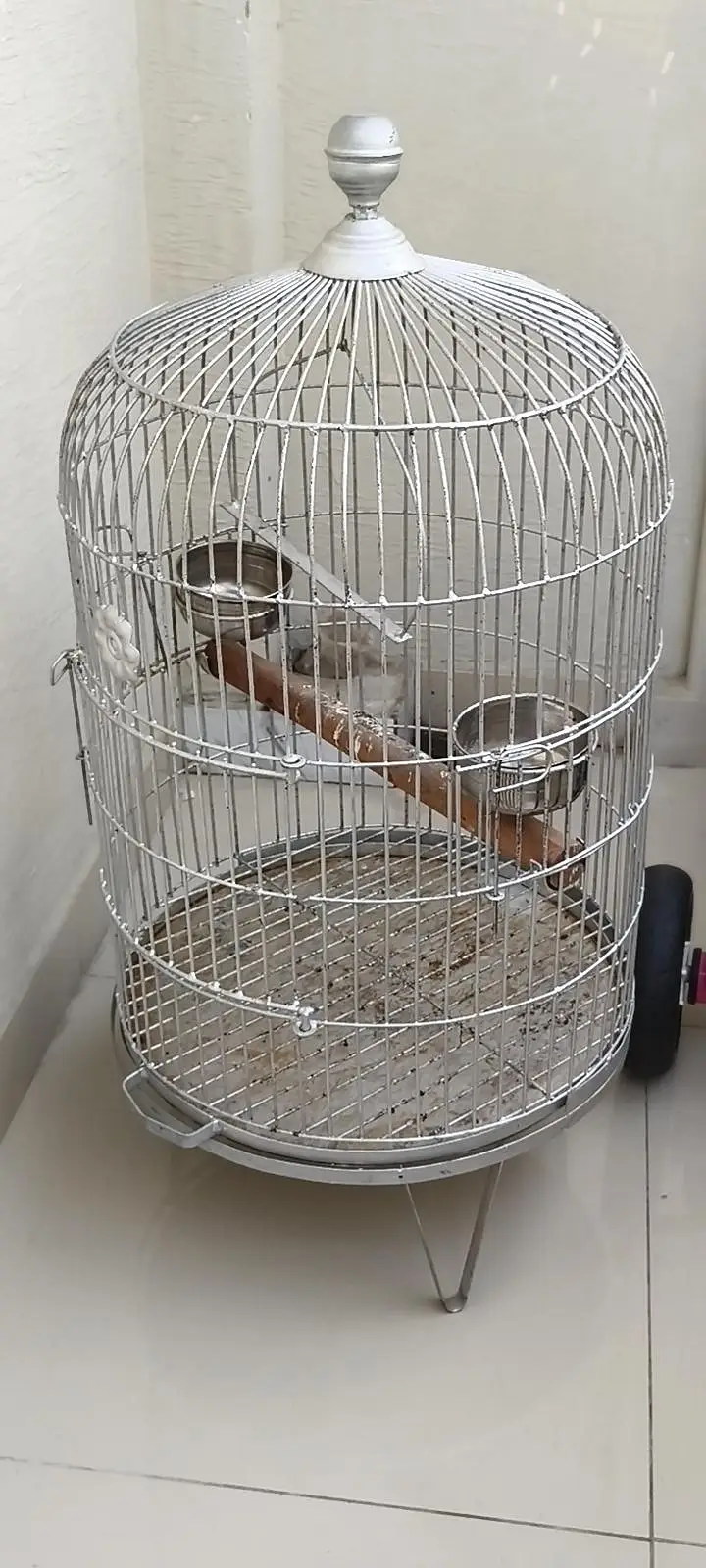 parrot cage 18" dia condition 10/9.5 — photo 6