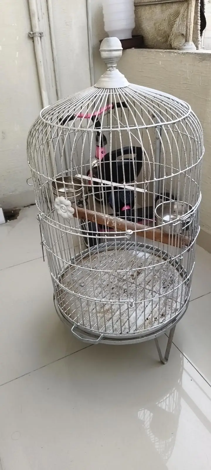 parrot cage 18" dia condition 10/9.5 — photo 7