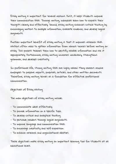 English Assignment Spring 2026