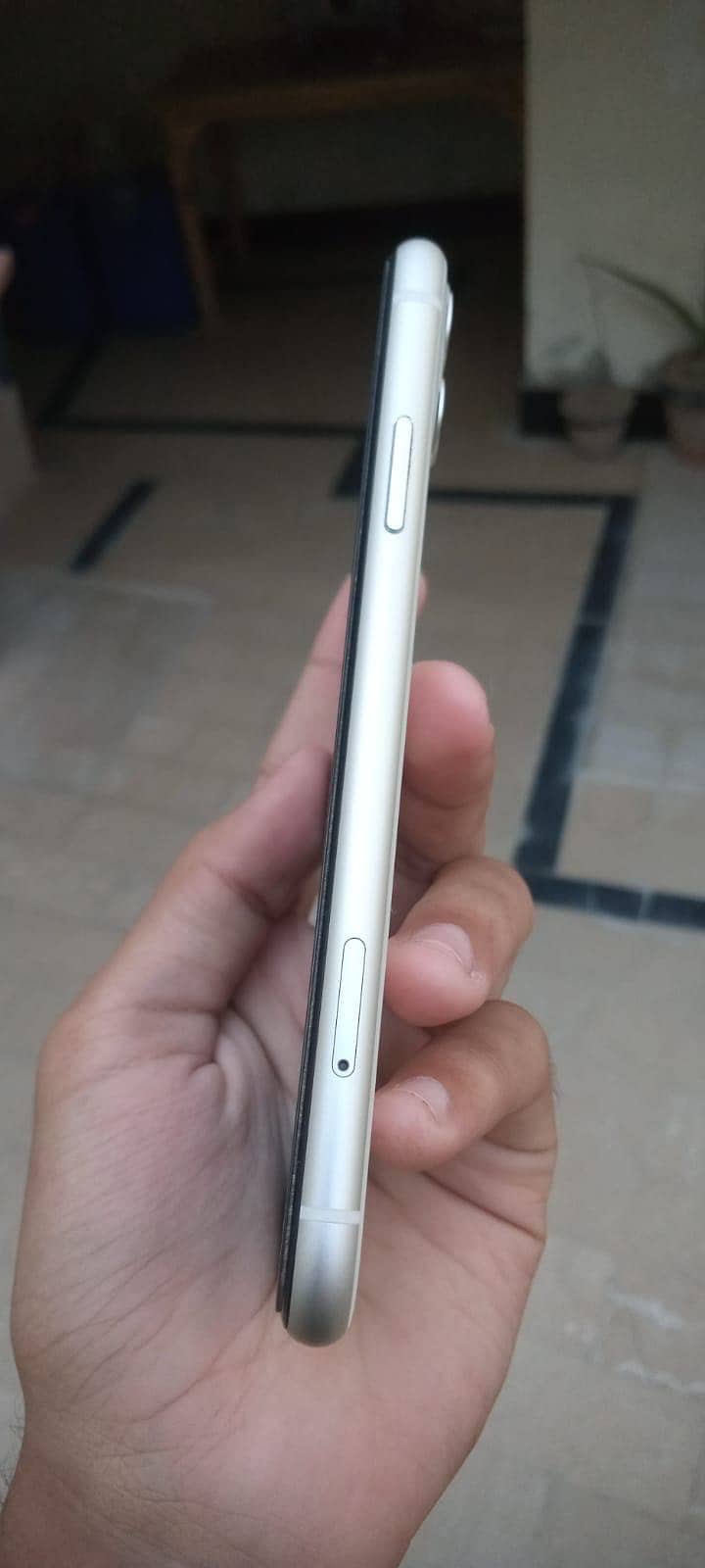 Apple iPhone 11 2