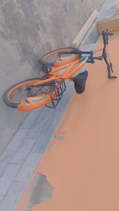 "Caspian 20-inch Bicycle, Good Condition. "