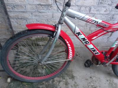 mountain Morgan cycle