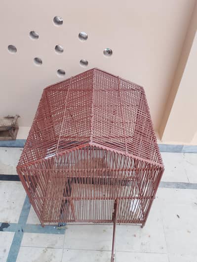 mighty cage