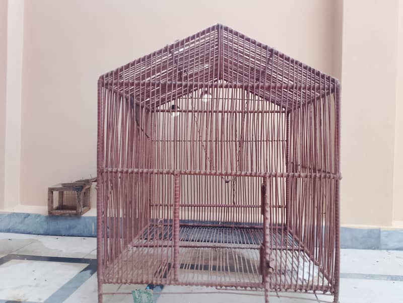 mighty cage 2