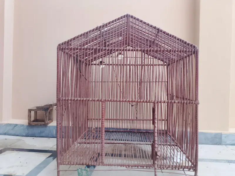 mighty cage — photo 3