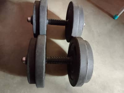 Adjustable Dumbbells