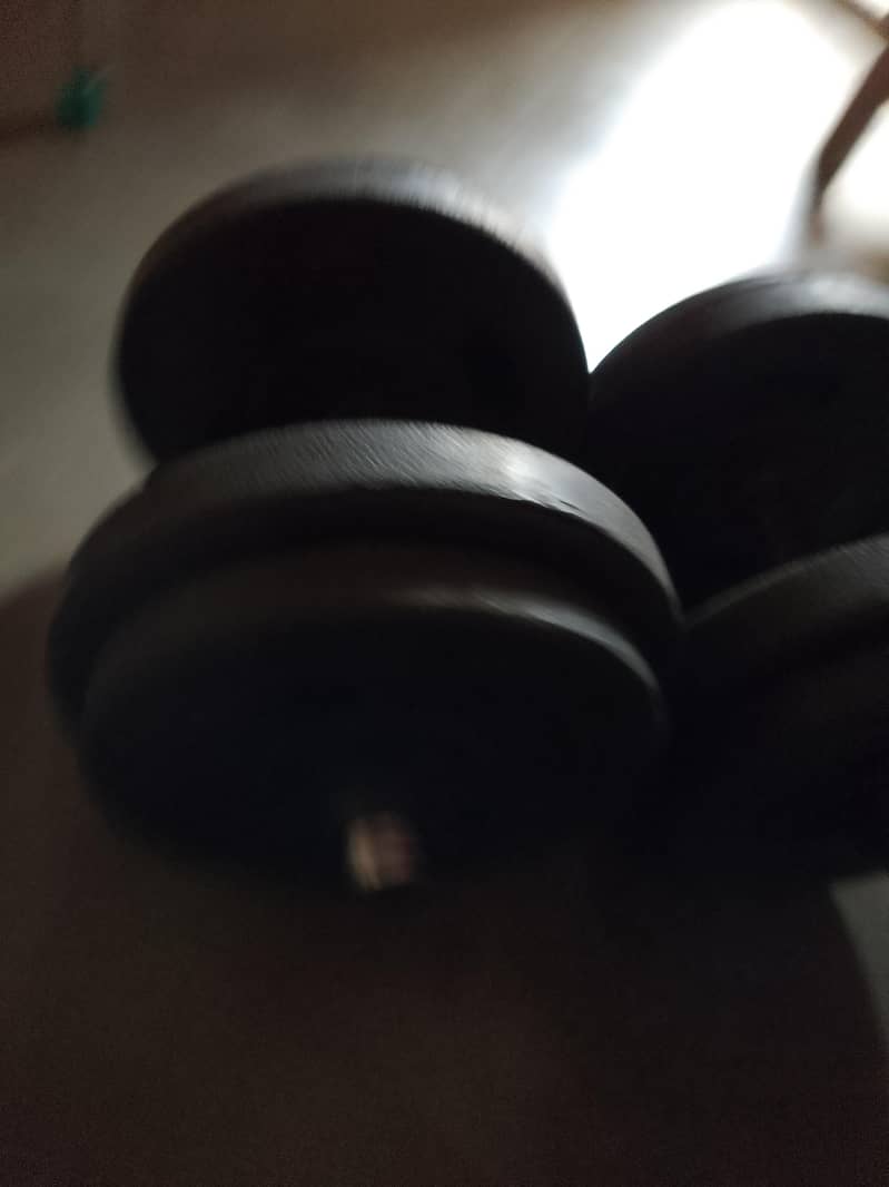 Adjustable Dumbbells 1