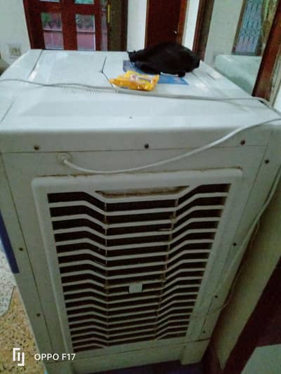 Air coolar