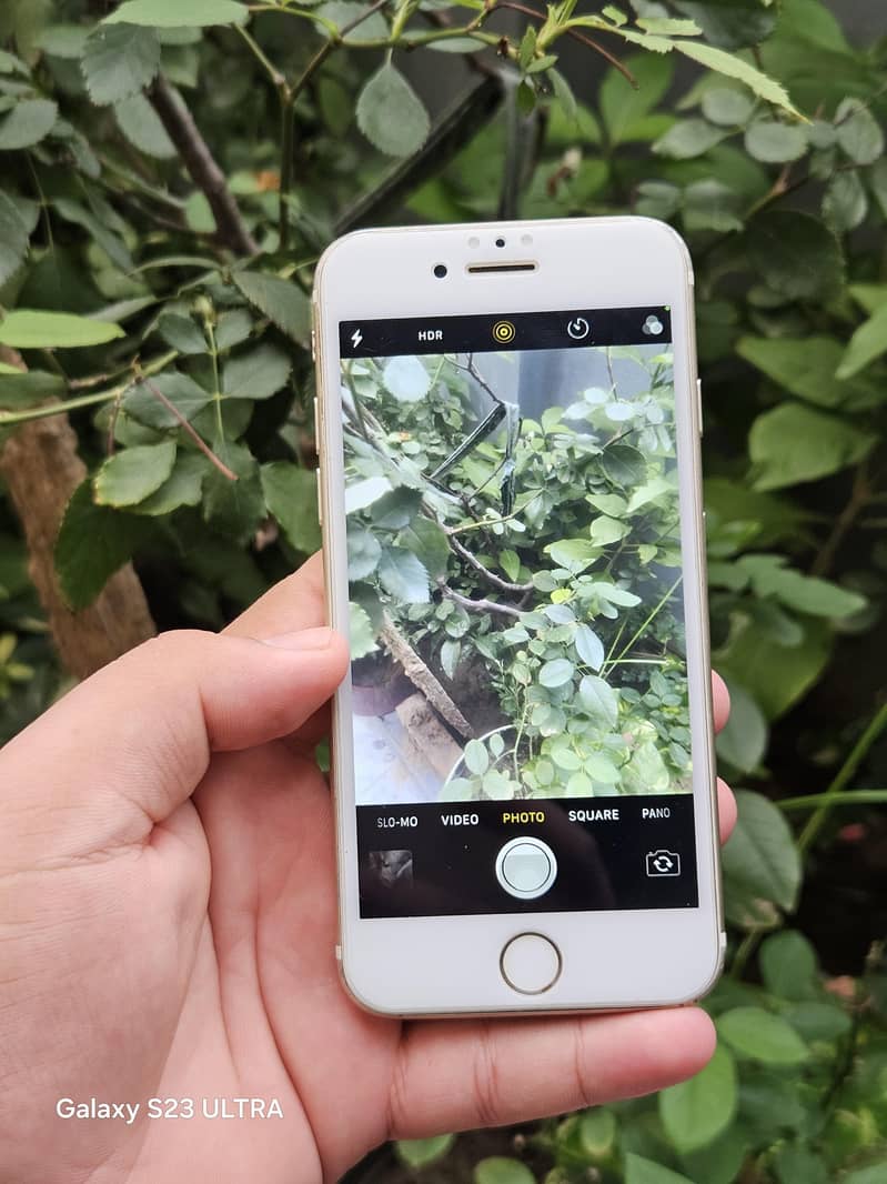 Apple iPhone 7 8