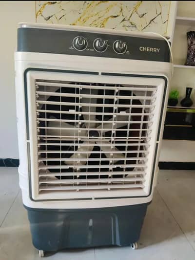New cherry cooler 10/10