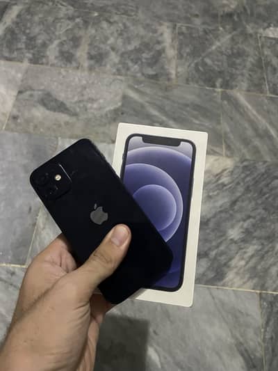 Apple iPhone 12 mini