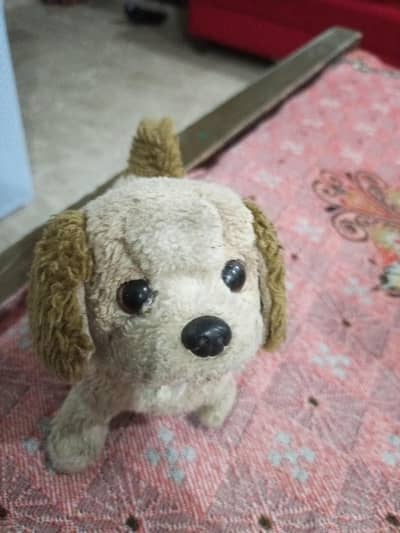 achcha sa dog sale sale