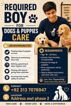 requaird boy for dogs & puppies care |Must have valid cnic | job offe