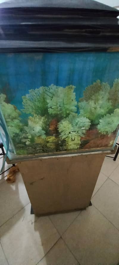 Fish Acqurium