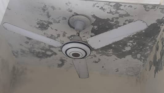 ceiling fan AC contact number 03255335126