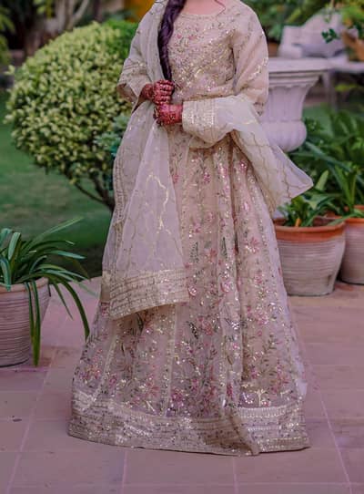 Party wear lehenga choli