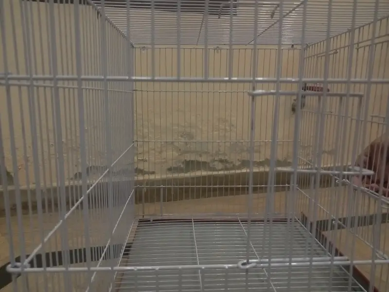 Brand New Animal Cage for sale — photo 2