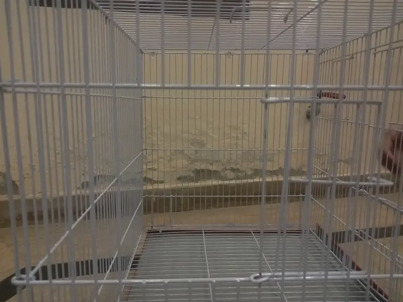 Brand New Animal Cage for sale — photo 3