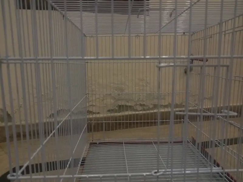 Brand New Animal Cage for sale — photo 4