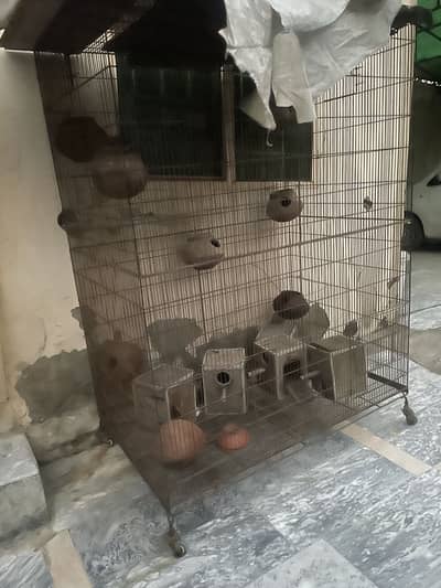 Iron Cage