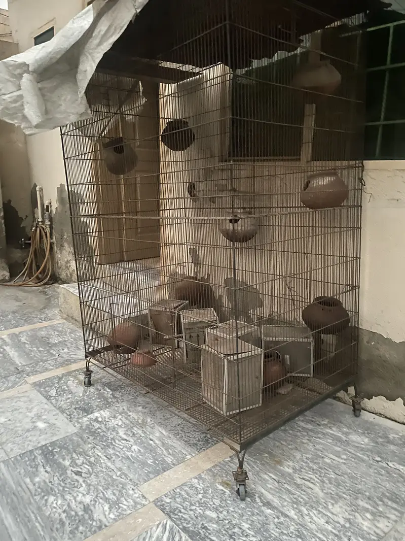 Iron Cage — photo 2
