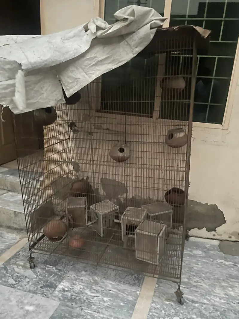 Iron Cage — photo 3