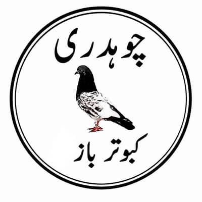 Sana ullah 