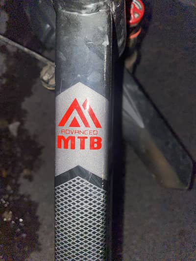 Bycylce stoner bike
