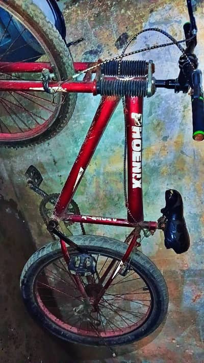 phoenix brand